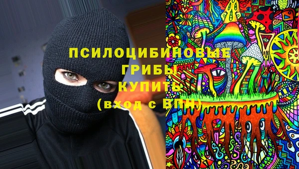 мет Верея