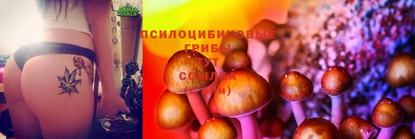 мет Верея