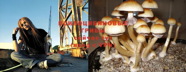 мет Верея