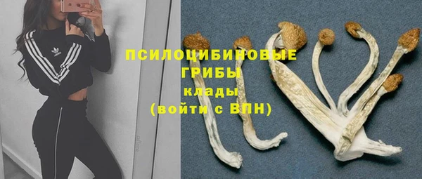 мяу мяу мука Верхний Тагил